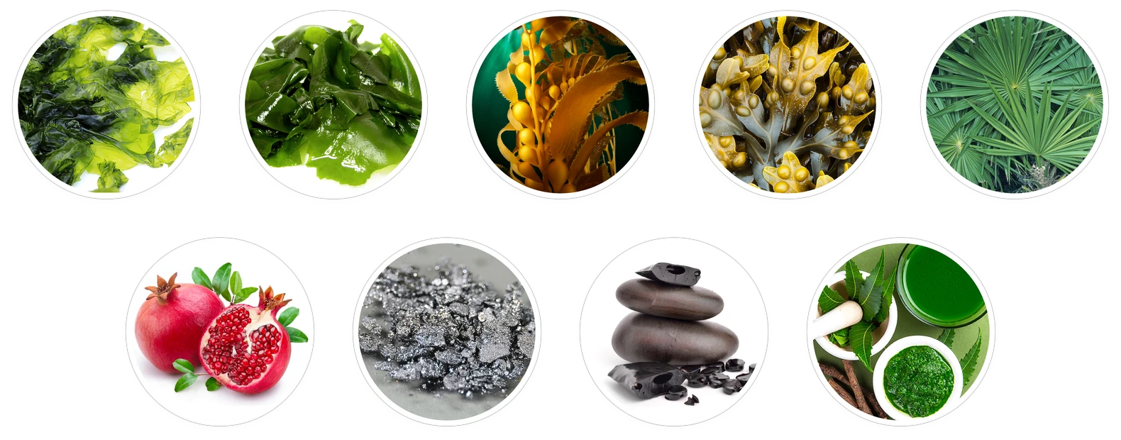 Prostadine ingredients